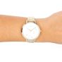 OOZOO Timepieces C11122