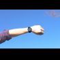OOZOO TIMEPIECES C10912