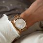 OOZOO Timepieces C11046