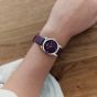 OOZOO TIMEPIECES C11627