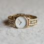 OOZOO TIMEPIECES C11631