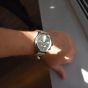 OOZOO TIMEPIECES C7060