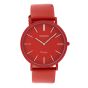 OOZOO VINTAGE C9885