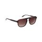 OOZOO SUNGLASSES OSG009-C5