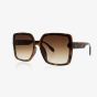 OOZOO SUNGLASSES / BROWN TURTOISE, SHINY SG006-TB