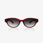 OOZOO SUNGLASSES / BURGUNDY SHINY SG007-BX