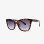 OOZOO SUNGLASSES / BROWN TURTOISE, SHINY SG009-TB