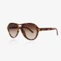 OOZOO SUNGLASSES / BROWN TORTOISE MATT SG011-TB
