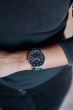 OOZOO TIMEPIECES C11622